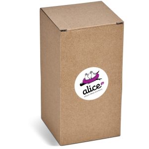 Altitude Ballito Beach Bat & Ball Set