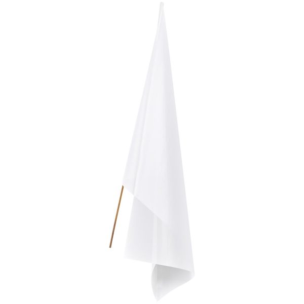Champion Standard Hand Flag 1800mm x 1200mm 1 Champion Standard Hand Flag 1800mm x 1200mm